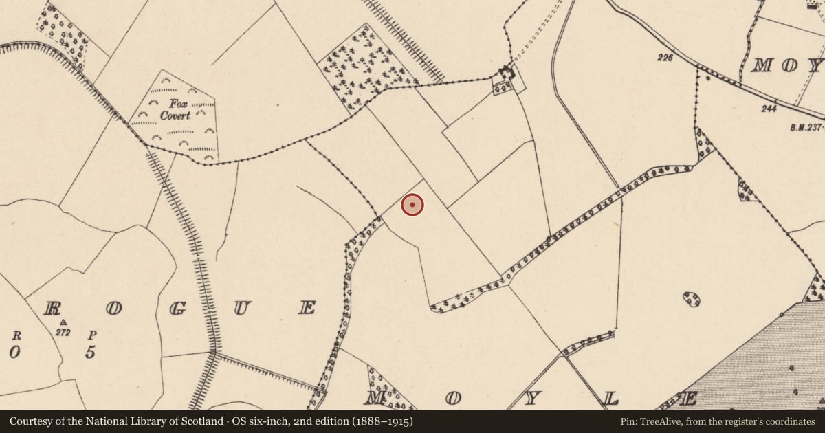 Ordnance Survey six-inch map, 2nd edition (1888–1915) covering the location of Excavation - miscellaneous, Moyle Big, County Carlow, with a pin at the register's coordinates