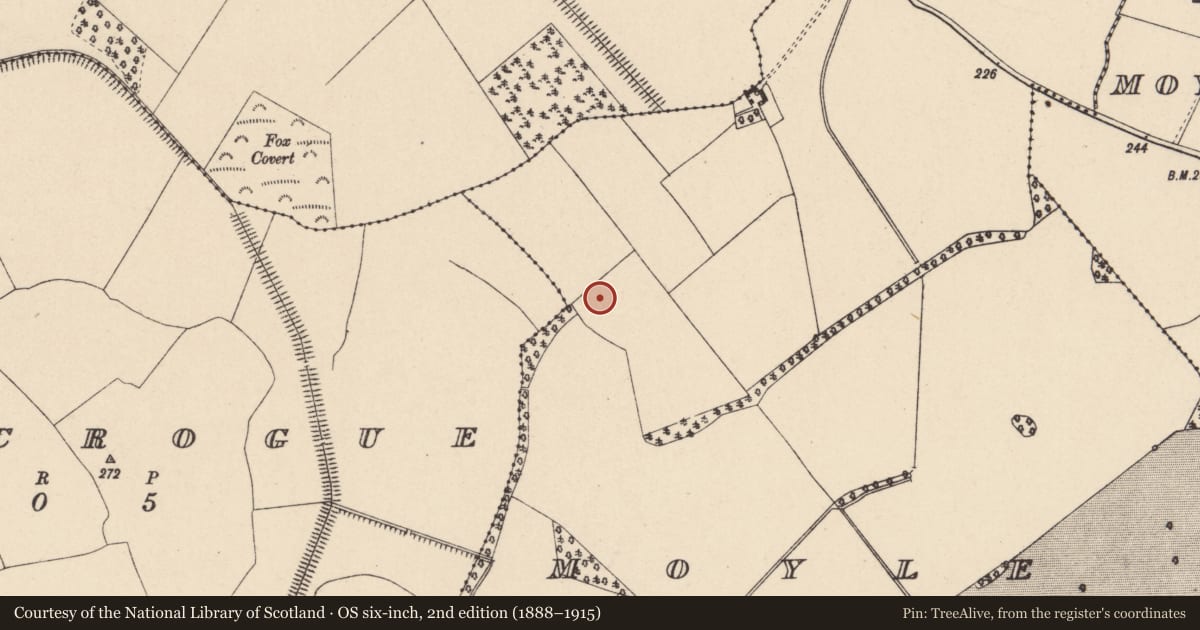 Ordnance Survey six-inch map, 2nd edition (1888–1915) covering the location of Kiln - lime, Moyle Big, County Carlow, with a pin at the register's coordinates