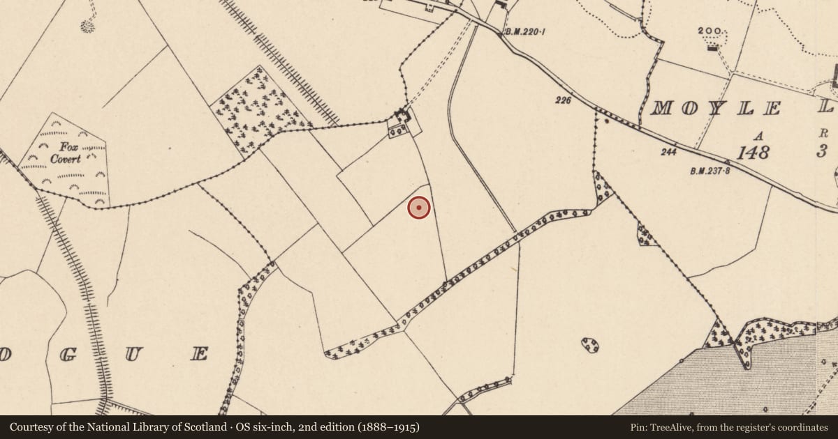 Ordnance Survey six-inch map, 2nd edition (1888–1915) covering the location of Excavation - miscellaneous, Moyle Big, County Carlow, with a pin at the register's coordinates