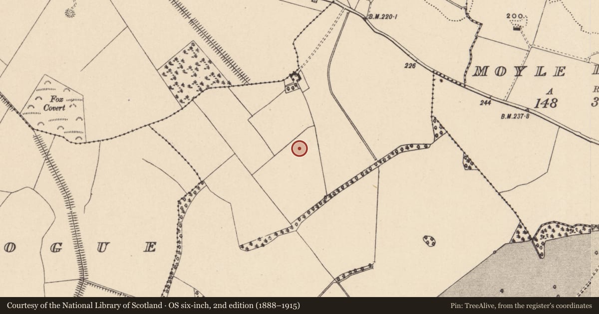 Ordnance Survey six-inch map, 2nd edition (1888–1915) covering the location of Cremated remains, Moyle Big, County Carlow, with a pin at the register's coordinates