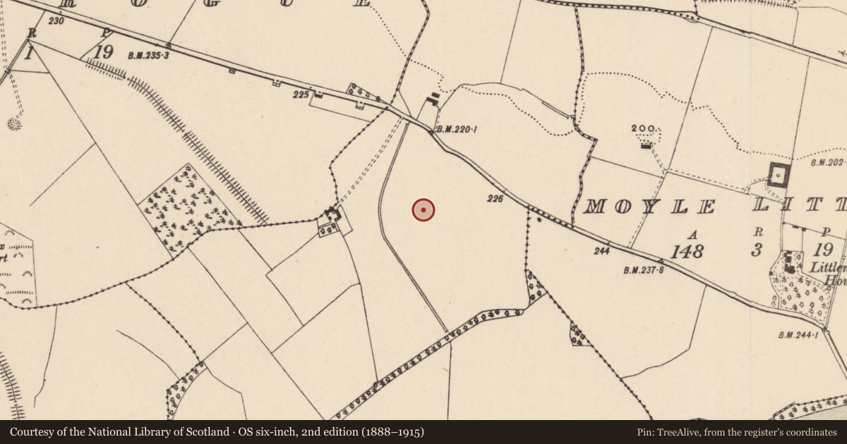 Ordnance Survey six-inch map, 2nd edition (1888–1915) covering the location of Cremation pit, Moyle Big, County Carlow, with a pin at the register's coordinates