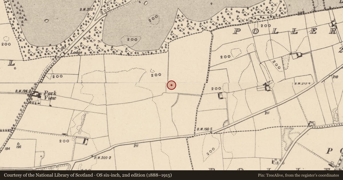Ordnance Survey six-inch map, 2nd edition (1888–1915) covering the location of Cremation pit, Pollerton Little, County Carlow, with a pin at the register's coordinates