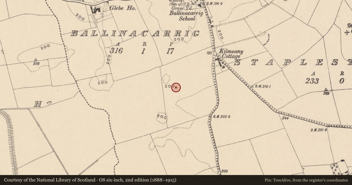 Ordnance Survey six-inch map, 2nd edition (1888–1915) covering the location of Ring-ditch, Ballinacarrig, County Carlow, with a pin at the register's coordinates