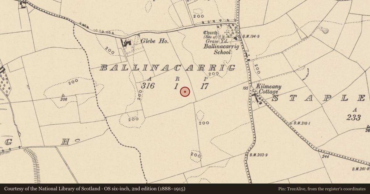 Ordnance Survey six-inch map, 2nd edition (1888–1915) covering the location of Ring-ditch, Ballinacarrig, County Carlow, with a pin at the register's coordinates