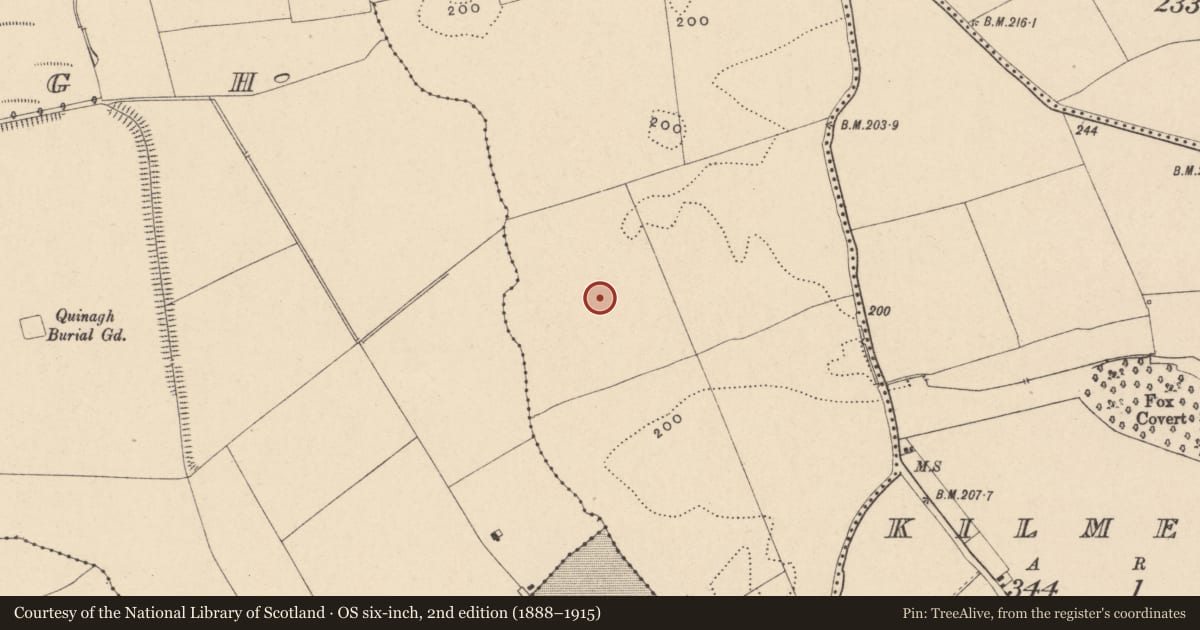 Ordnance Survey six-inch map, 2nd edition (1888–1915) covering the location of Enclosure, Ballinacarrig, County Carlow, with a pin at the register's coordinates