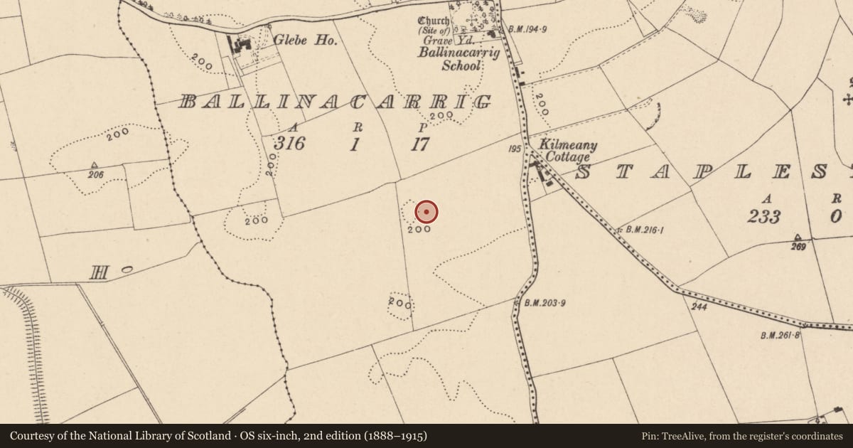 Ordnance Survey six-inch map, 2nd edition (1888–1915) covering the location of Road - road/trackway, Ballinacarrig, County Carlow, with a pin at the register's coordinates