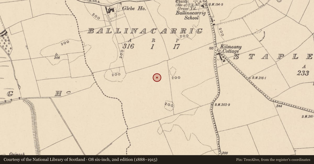 Ordnance Survey six-inch map, 2nd edition (1888–1915) covering the location of Pit, Ballinacarrig, County Carlow, with a pin at the register's coordinates