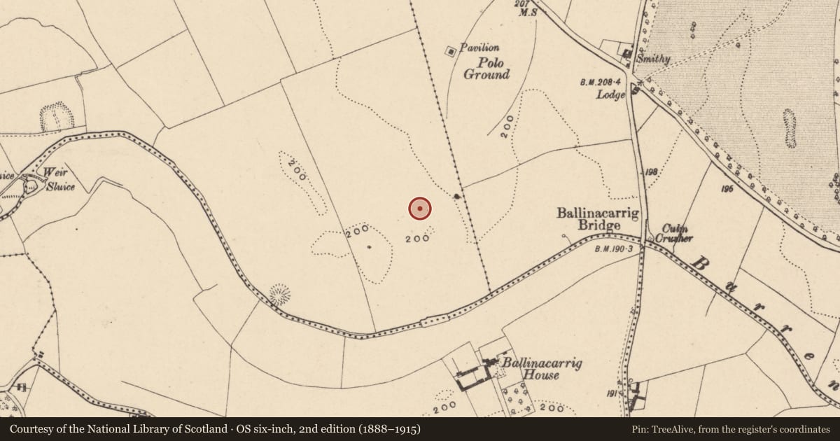 Ordnance Survey six-inch map, 2nd edition (1888–1915) covering the location of Linear earthwork, Carlow, with a pin at the register's coordinates