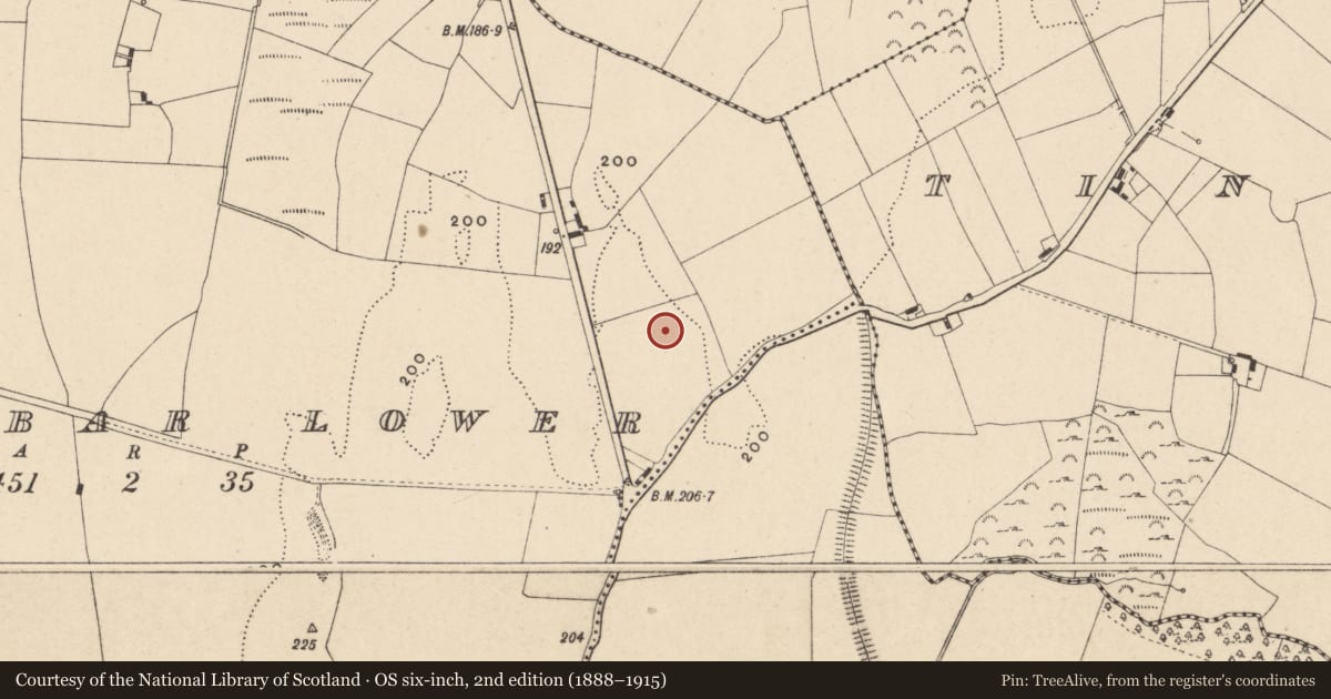 Ordnance Survey six-inch map, 2nd edition (1888–1915) covering the location of Enclosure, Ballybar Lower, County Carlow, with a pin at the register's coordinates
