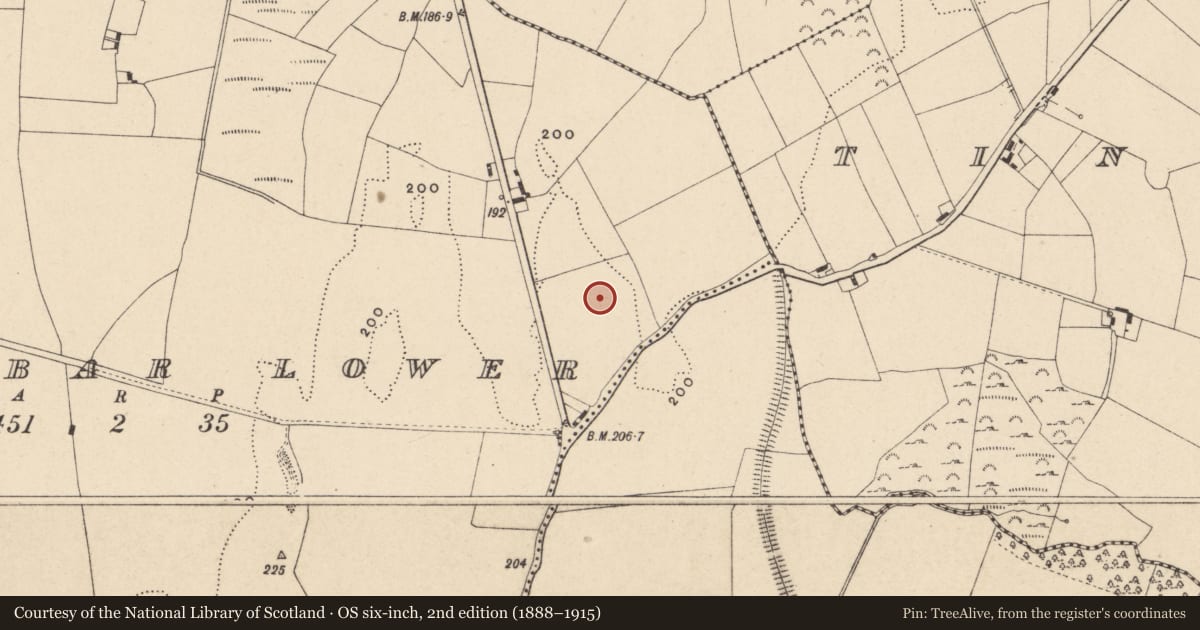 Ordnance Survey six-inch map, 2nd edition (1888–1915) covering the location of Field system, Ballybar Lower, County Carlow, with a pin at the register's coordinates