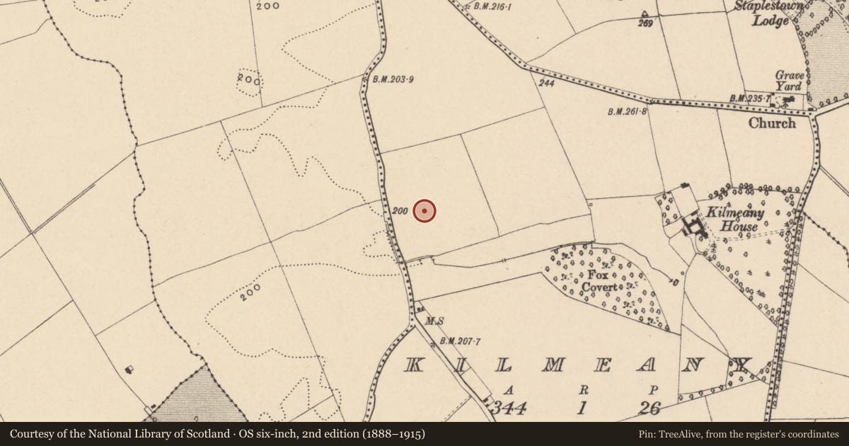 Ordnance Survey six-inch map, 2nd edition (1888–1915) covering the location of Enclosure, Kilmeany, County Carlow, with a pin at the register's coordinates