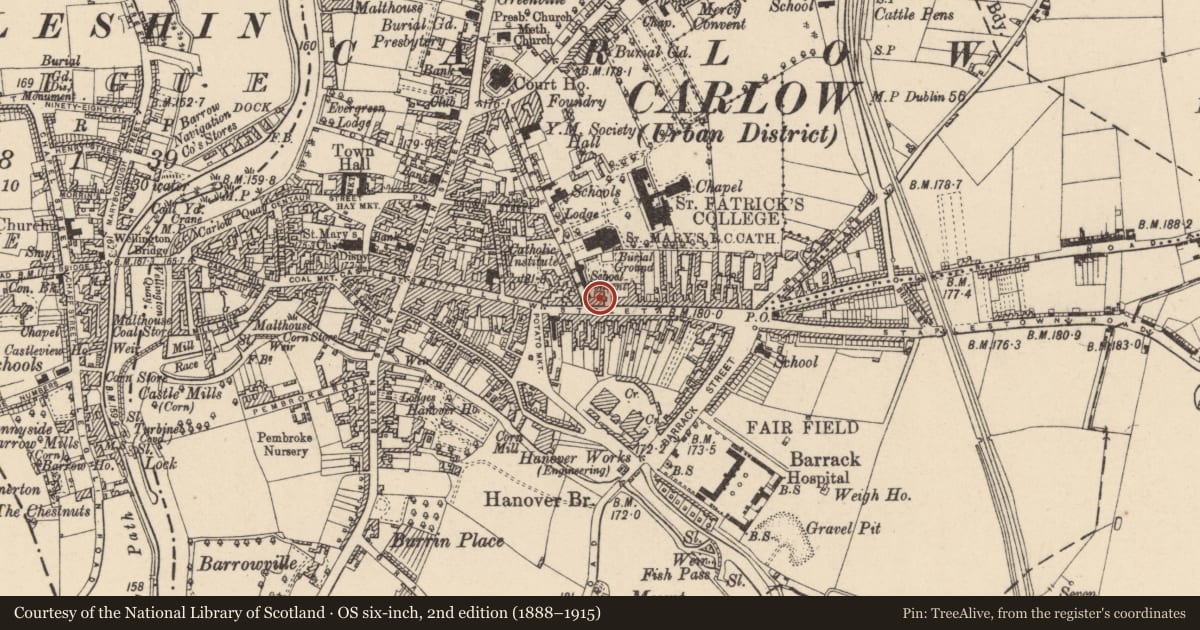 Ordnance Survey six-inch map, 2nd edition (1888–1915) covering the location of Stone head (present location), Carlow, with a pin at the register's coordinates