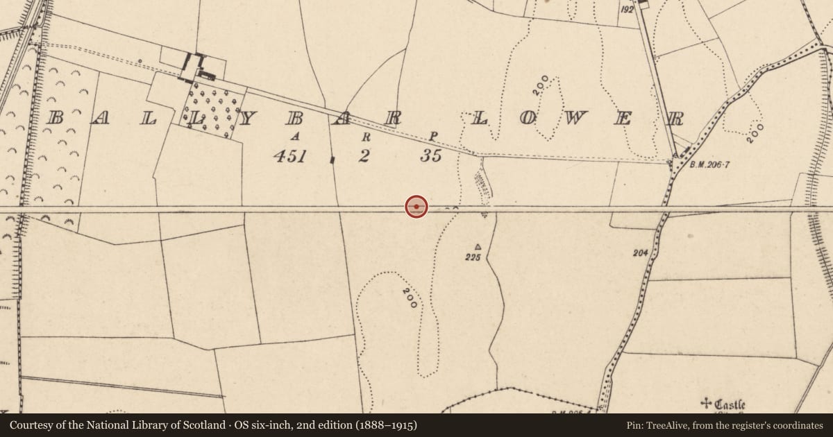 Ordnance Survey six-inch map, 2nd edition (1888–1915) covering the location of Enclosure, Ballybar Lower, County Carlow, with a pin at the register's coordinates