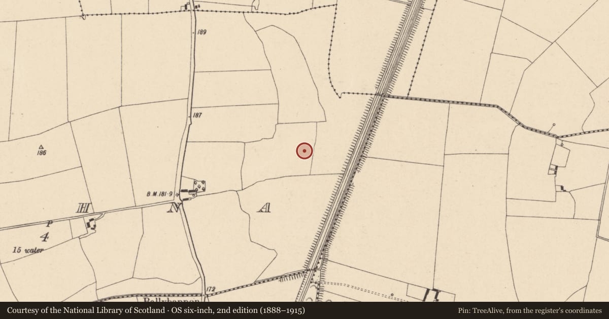 Ordnance Survey six-inch map, 2nd edition (1888–1915) covering the location of Enclosure, Cloghna, County Carlow, with a pin at the register's coordinates