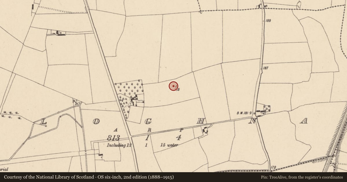 Ordnance Survey six-inch map, 2nd edition (1888–1915) covering the location of Enclosure, Cloghna, County Carlow, with a pin at the register's coordinates