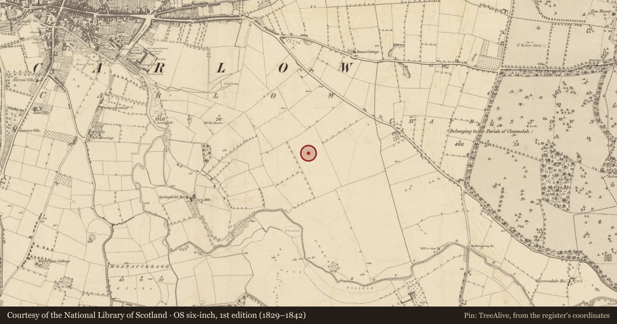 Ordnance Survey six-inch map, 1st edition (1829–1842) covering the location of Enclosure, Carlow, with a pin at the register's coordinates
