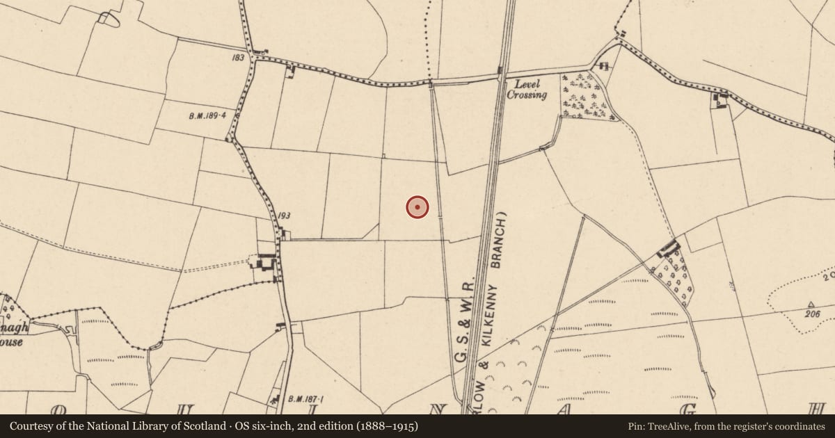 Ordnance Survey six-inch map, 2nd edition (1888–1915) covering the location of Enclosure - large enclosure, Quinagh, County Carlow, with a pin at the register's coordinates