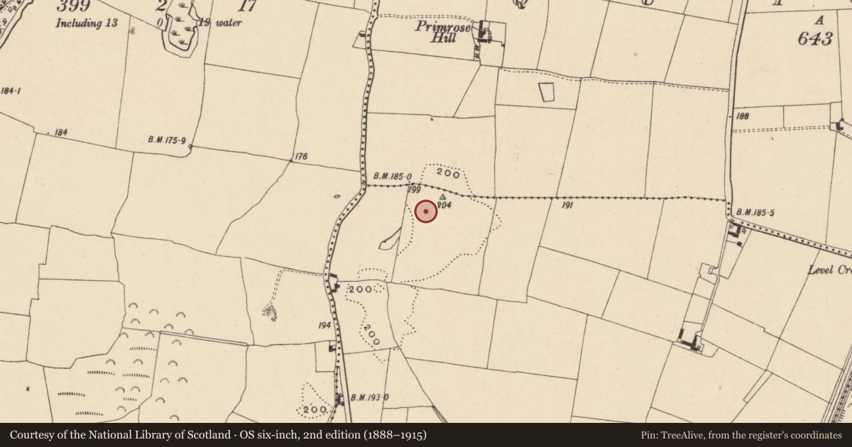 Ordnance Survey six-inch map, 2nd edition (1888–1915) covering the location of Enclosure, Ballycarney, County Carlow, with a pin at the register's coordinates