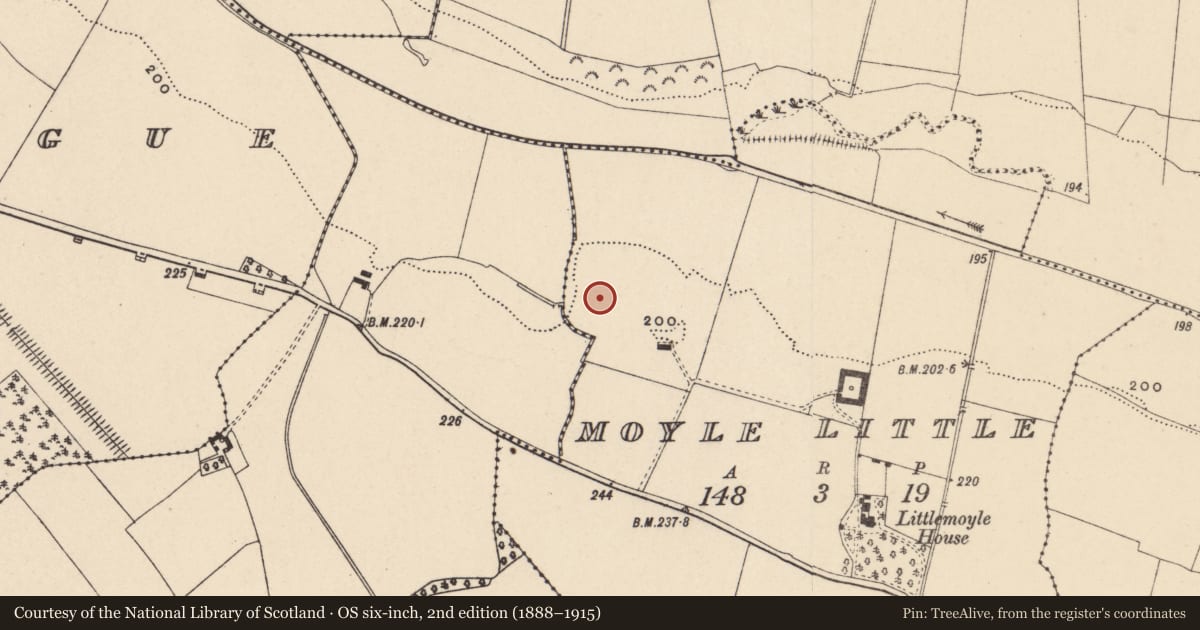Ordnance Survey six-inch map, 2nd edition (1888–1915) covering the location of Enclosure - large enclosure, Moyle Little, County Carlow, with a pin at the register's coordinates