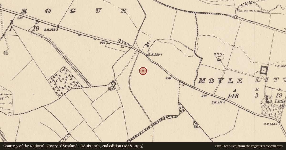 Ordnance Survey six-inch map, 2nd edition (1888–1915) covering the location of Enclosure, Moyle Big, County Carlow, with a pin at the register's coordinates