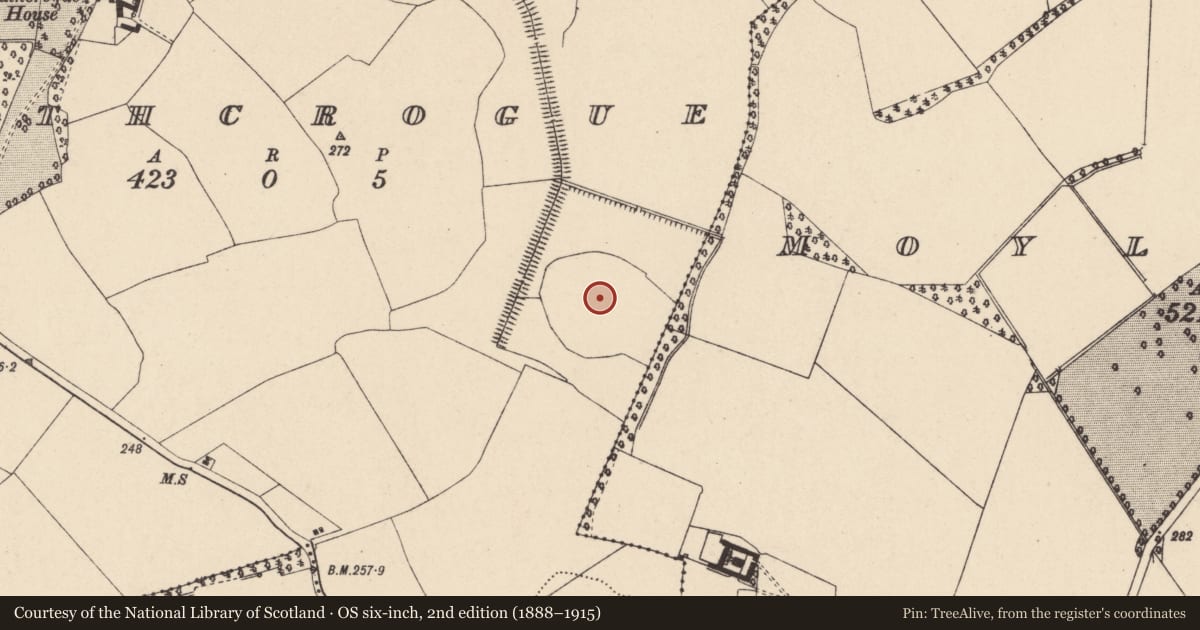 Ordnance Survey six-inch map, 2nd edition (1888–1915) covering the location of Enclosure - large enclosure, Rathcrogue, County Carlow, with a pin at the register's coordinates