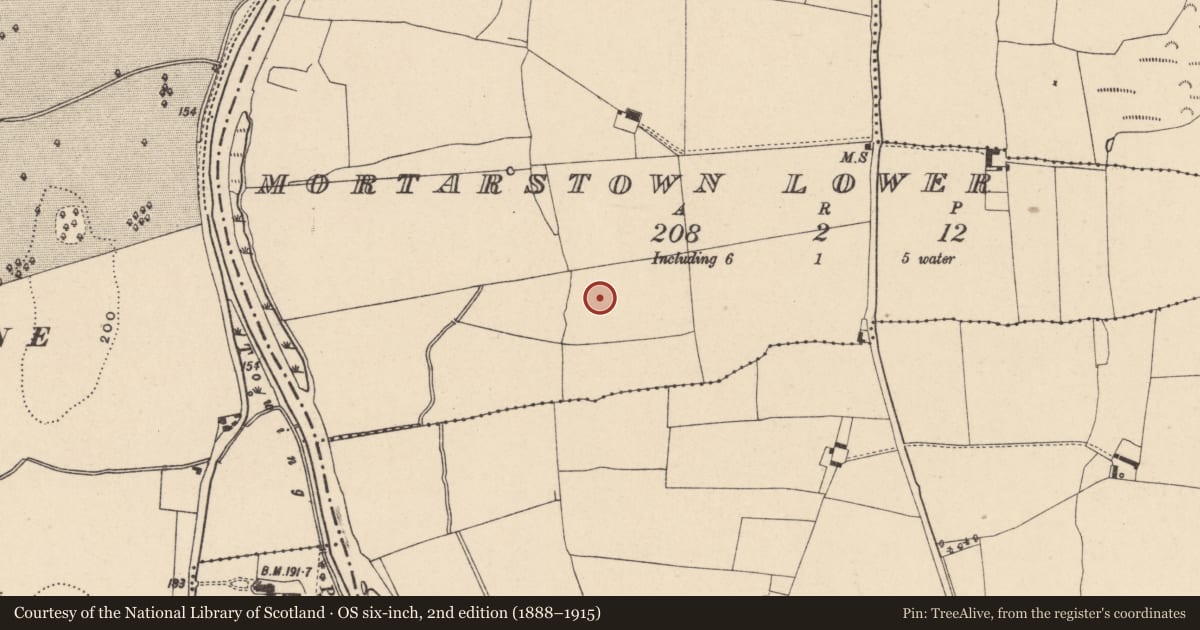 Ordnance Survey six-inch map, 2nd edition (1888–1915) covering the location of Enclosure, Mortarstown Lower, County Carlow, with a pin at the register's coordinates