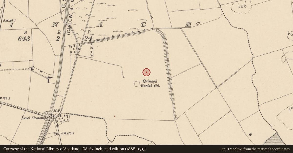 Ordnance Survey six-inch map, 2nd edition (1888–1915) covering the location of Settlement cluster, Quinagh, County Carlow, with a pin at the register's coordinates