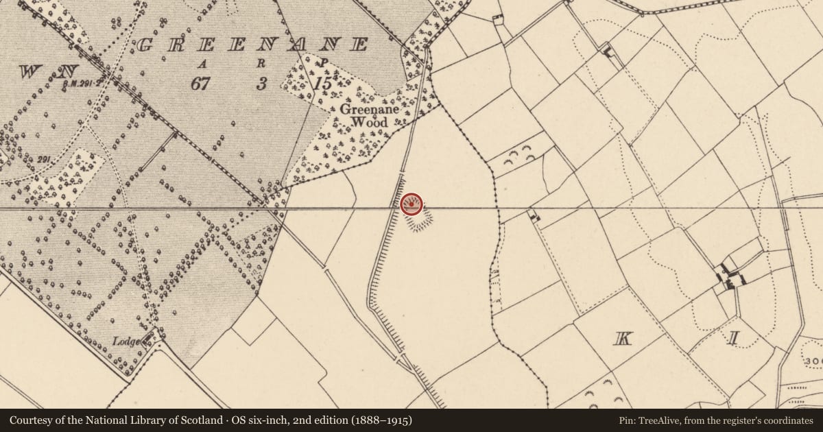 Ordnance Survey six-inch map, 2nd edition (1888–1915) covering the location of Field system, Friarstown, County Carlow, with a pin at the register's coordinates