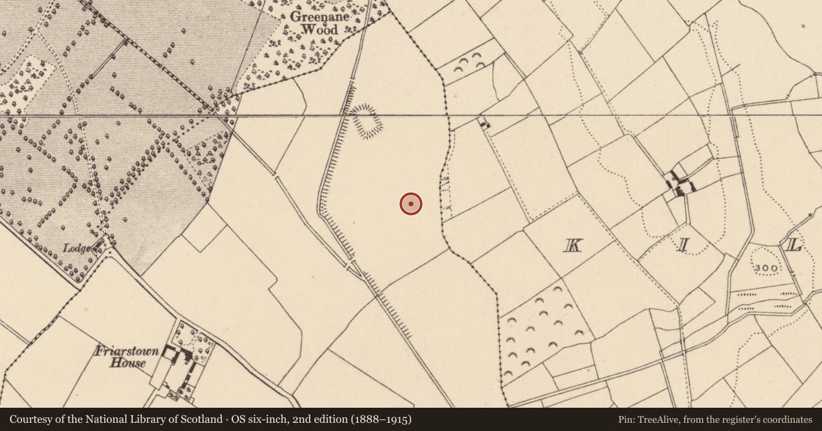 Ordnance Survey six-inch map, 2nd edition (1888–1915) covering the location of Enclosure, Friarstown, County Carlow, with a pin at the register's coordinates