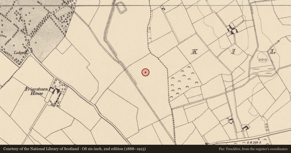 Ordnance Survey six-inch map, 2nd edition (1888–1915) covering the location of Ecclesiastical site, Friarstown, County Carlow, with a pin at the register's coordinates