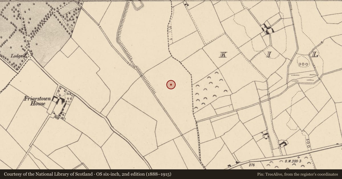 Ordnance Survey six-inch map, 2nd edition (1888–1915) covering the location of Ecclesiastical enclosure, Friarstown, County Carlow, with a pin at the register's coordinates