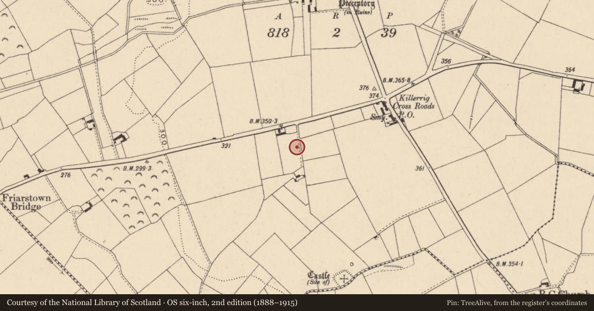 Ordnance Survey six-inch map, 2nd edition (1888–1915) covering the location of Cist, Killerrig, County Carlow, with a pin at the register's coordinates