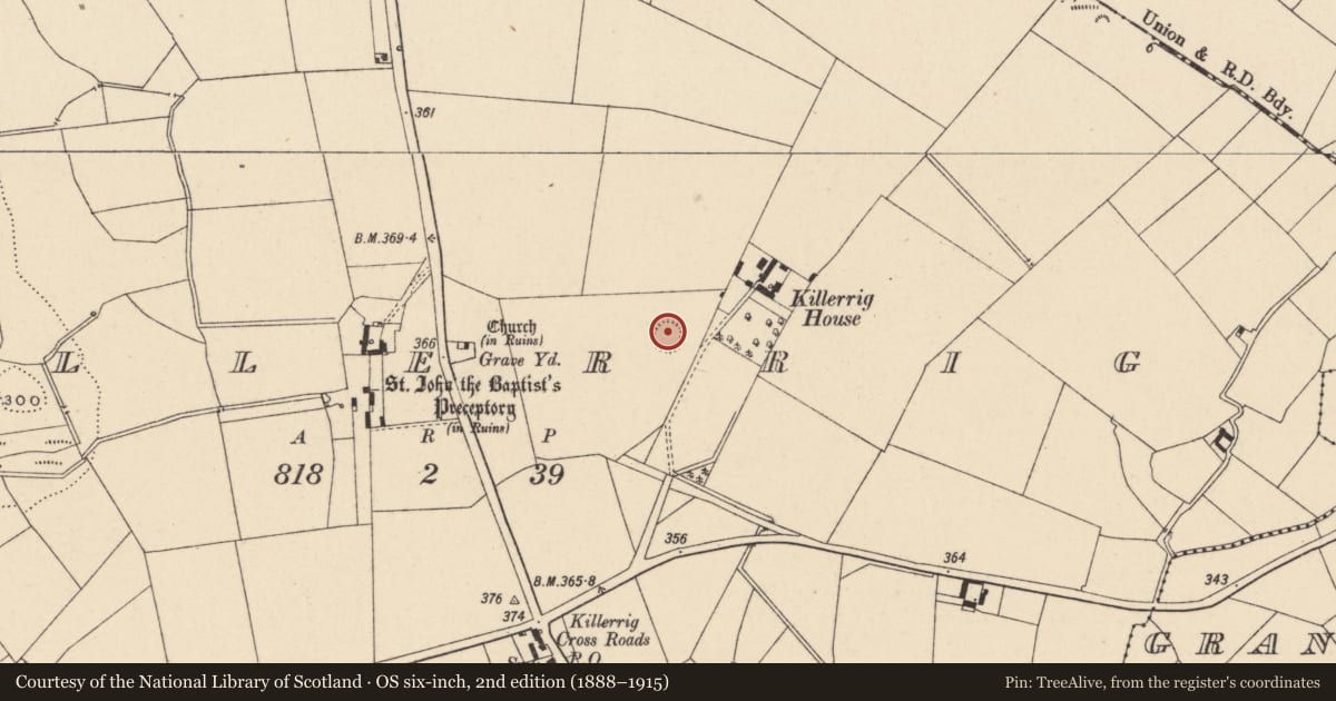 Ordnance Survey six-inch map, 2nd edition (1888–1915) covering the location of Enclosure, Killerrig, County Carlow, with a pin at the register's coordinates