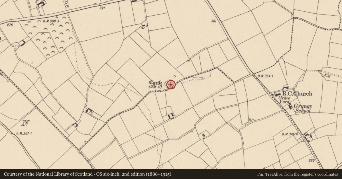 Ordnance Survey six-inch map, 2nd edition (1888–1915) covering the location of Castle - unclassified, Killerrig, County Carlow, with a pin at the register's coordinates