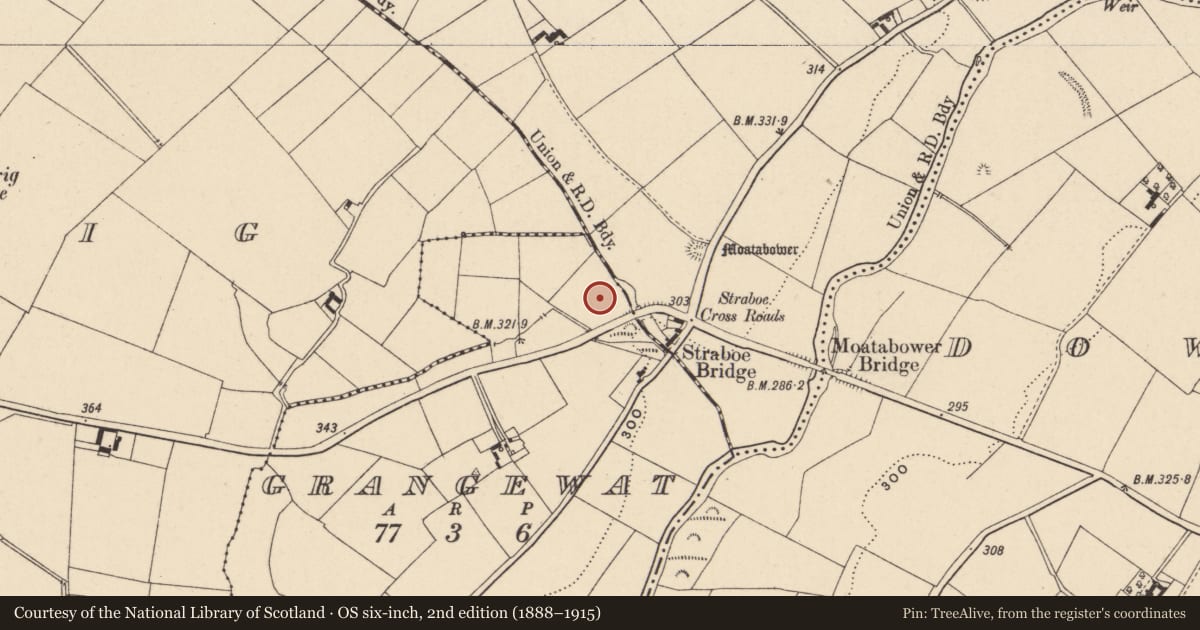 Ordnance Survey six-inch map, 2nd edition (1888–1915) covering the location of Standing stone, Grangewat, County Carlow, with a pin at the register's coordinates