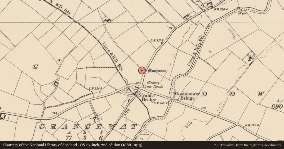Ordnance Survey six-inch map, 2nd edition (1888–1915) covering the location of Barrow - mound barrow, Straboe, County Carlow, with a pin at the register's coordinates