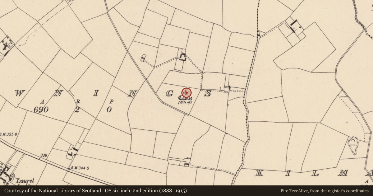 Ordnance Survey six-inch map, 2nd edition (1888–1915) covering the location of Castle - unclassified, Downings, County Carlow, with a pin at the register's coordinates