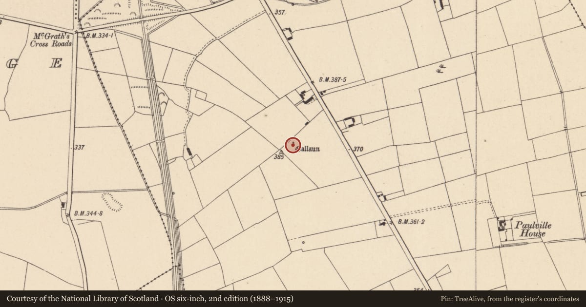 Ordnance Survey six-inch map, 2nd edition (1888–1915) covering the location of Standing stone, Tankardstown, County Carlow, with a pin at the register's coordinates