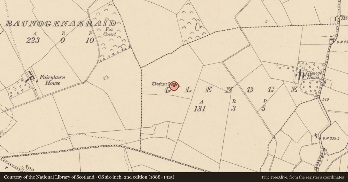 Ordnance Survey six-inch map, 2nd edition (1888–1915) covering the location of Standing stone, Glenoge, County Carlow, with a pin at the register's coordinates