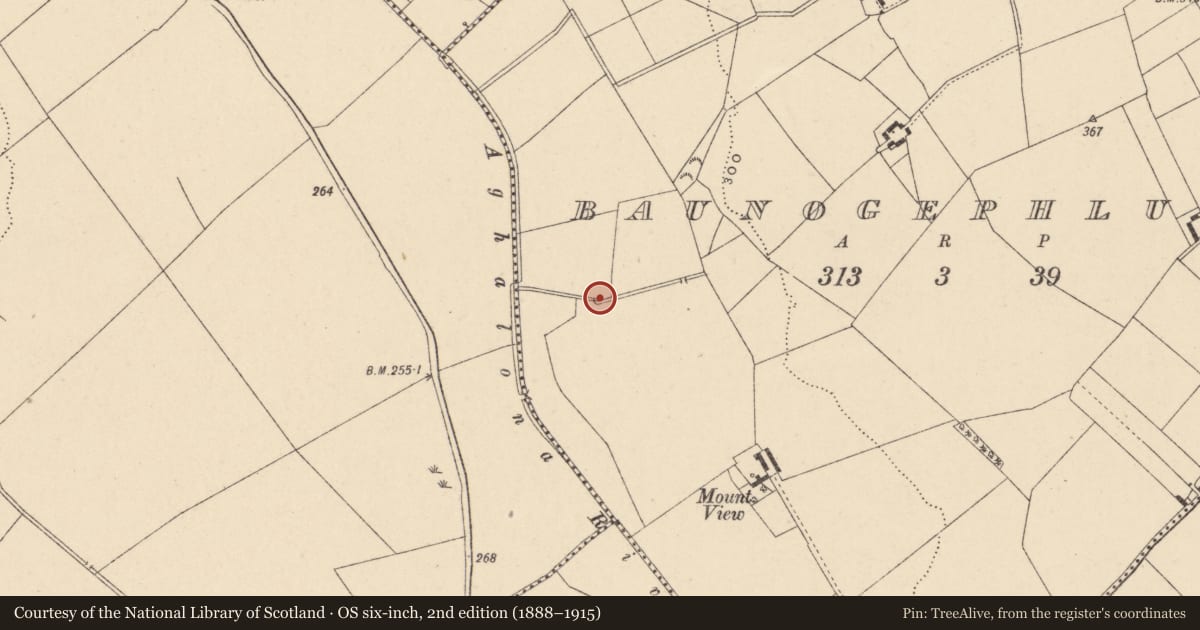 Ordnance Survey six-inch map, 2nd edition (1888–1915) covering the location of Ritual site - holy well, Baunogephlure, County Carlow, with a pin at the register's coordinates