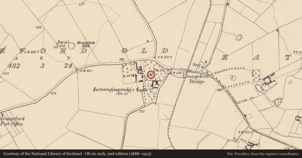 Ordnance Survey six-inch map, 2nd edition (1888–1915) covering the location of Burial ground, Grangeford Old, County Carlow, with a pin at the register's coordinates