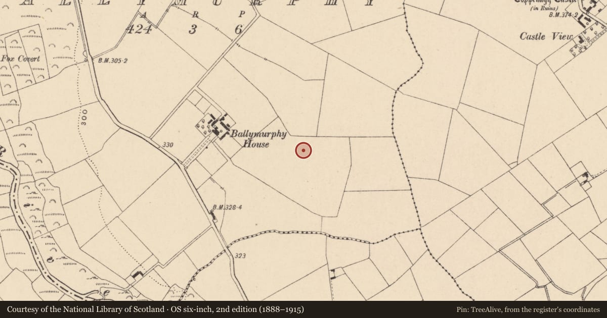 Ordnance Survey six-inch map, 2nd edition (1888–1915) covering the location of Enclosure, Ballymurphy, County Carlow, with a pin at the register's coordinates