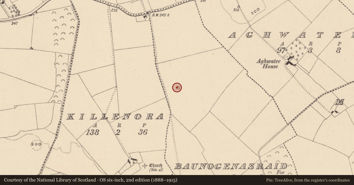 Ordnance Survey six-inch map, 2nd edition (1888–1915) covering the location of Burial, Baunogenasraid, County Carlow, with a pin at the register's coordinates