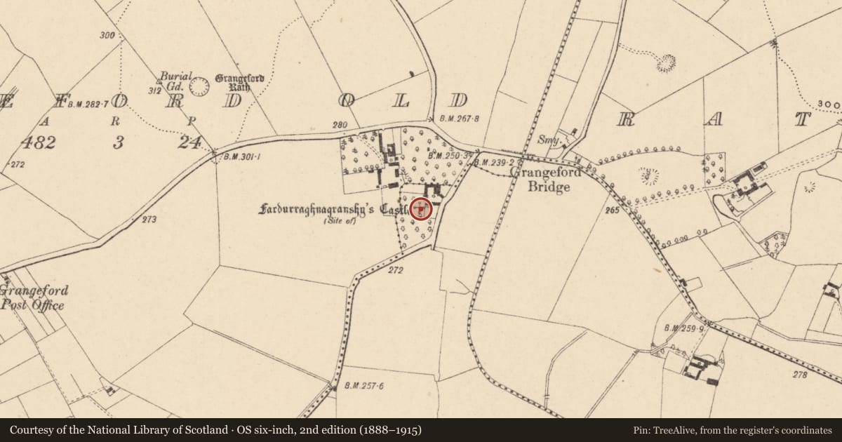 Ordnance Survey six-inch map, 2nd edition (1888–1915) covering the location of Castle - unclassified, Grangeford, County Carlow, with a pin at the register's coordinates
