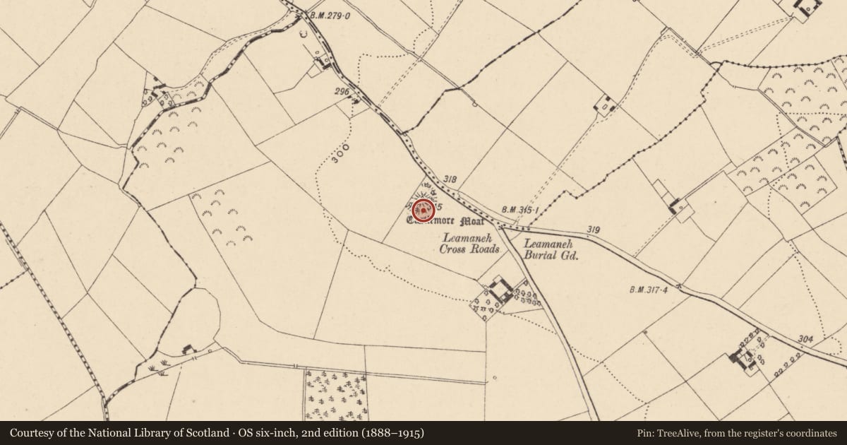 Ordnance Survey six-inch map, 2nd edition (1888–1915) covering the location of Settlement deserted - medieval, County Carlow, with a pin at the register's coordinates