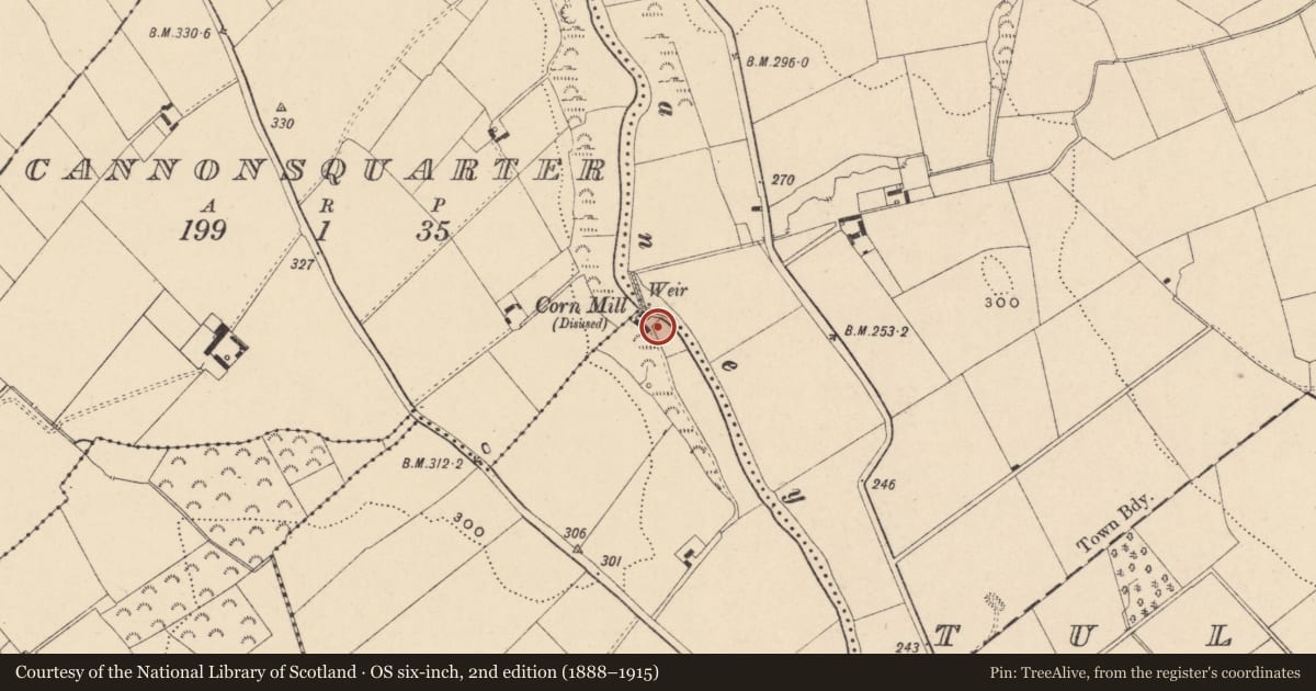 Ordnance Survey six-inch map, 2nd edition (1888–1915) covering the location of Mill - unclassified, Cannonsquarter, Tullowbeg, County Carlow, with a pin at the register's coordinates