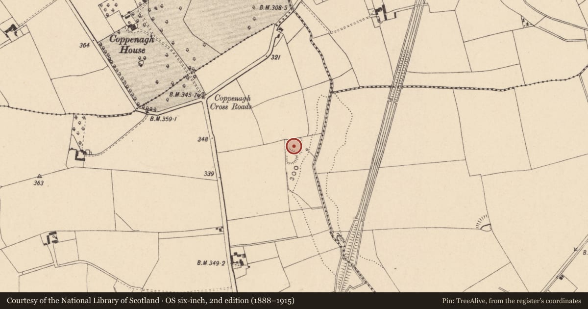 Ordnance Survey six-inch map, 2nd edition (1888–1915) covering the location of Enclosure, Tullowphelim, County Carlow, with a pin at the register's coordinates