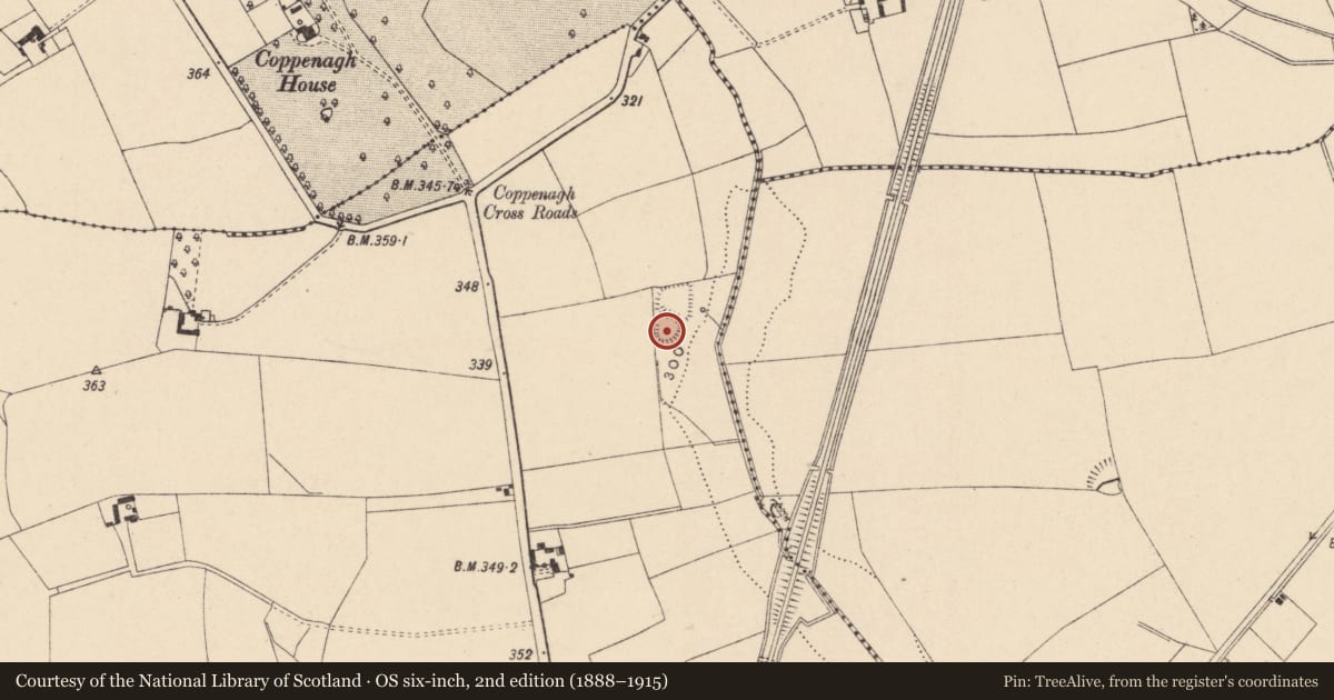 Ordnance Survey six-inch map, 2nd edition (1888–1915) covering the location of Enclosure, Tullowphelim, County Carlow, with a pin at the register's coordinates
