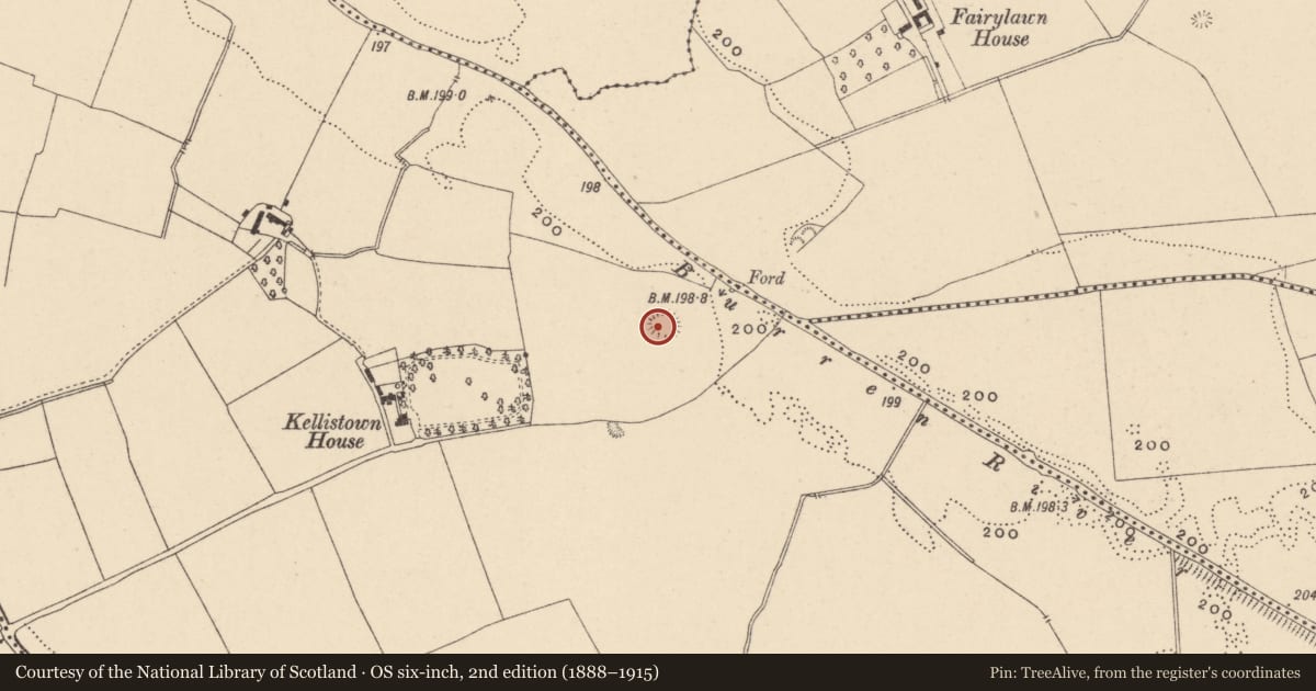 Ordnance Survey six-inch map, 2nd edition (1888–1915) covering the location of Burial ground, Kellistown East, County Carlow, with a pin at the register's coordinates