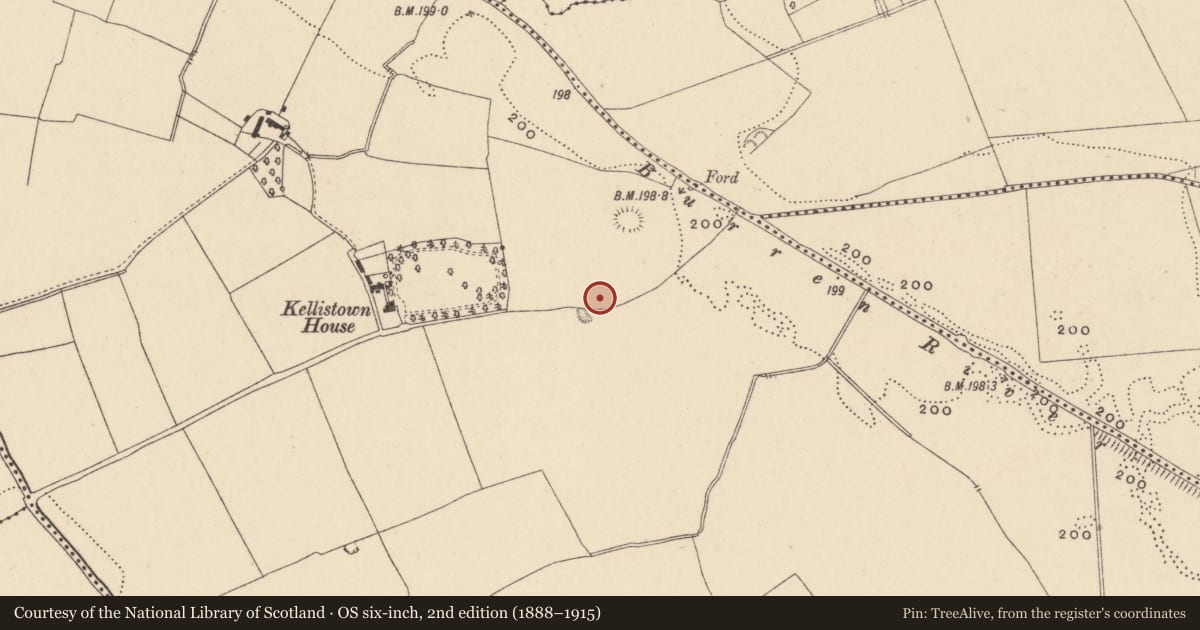 Ordnance Survey six-inch map, 2nd edition (1888–1915) covering the location of Road - road/trackway, Kellistown East, County Carlow, with a pin at the register's coordinates